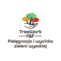 Treework FF - Pielęgnacja i wycinka drzew Kraków