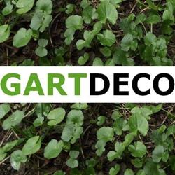 Gartdeco.com