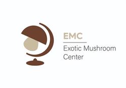 Exotic Mushroom Center- Shiitake i Boczniak Królewski