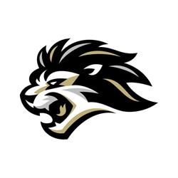 Lionsport.pro