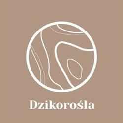 Dzikorośla