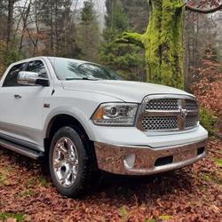 Truck & Trailers