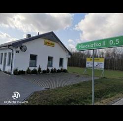 Groszek