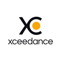 Xceedance Consulting Polska Sp. z o.o.