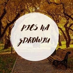 Pies na Zdrowiu