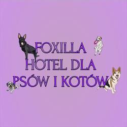 Foxilla szkolenie i hotelik domowy dla psów