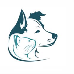 SkyVet
