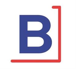 Burg-pol