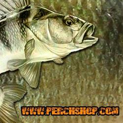 Sklep wędkarski PERCH