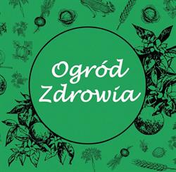 Warzywniak Ogród Zdrowia