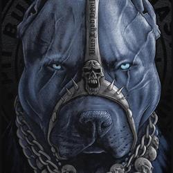 Pitbull West Coast