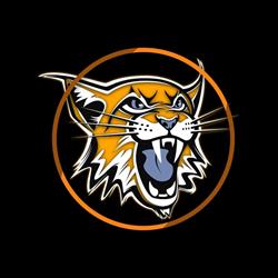 Power Fight House Skawina - Boks, Kickboxing, MMA, Krav Maga