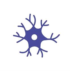 Pracownia Rozwoju Neuron