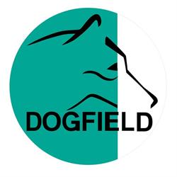 DOGFIELD szkolenie psów