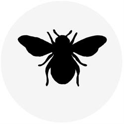 Studio Bee - Wypożyczalnia mebli Warszawa