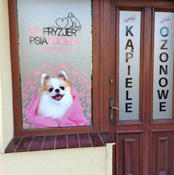 PSI FRYZJER PSIAPSIÓŁKA