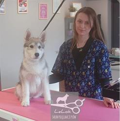 LeLok Salon Pielęgnacji Psów