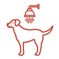 Wash Dog EXPRESS