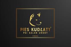 Pies Kudłaty