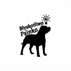 Hotel Błyskotliwa Psinka - opieka i szkolenie psów