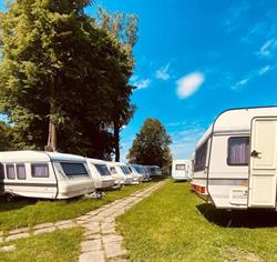 M.D Camp