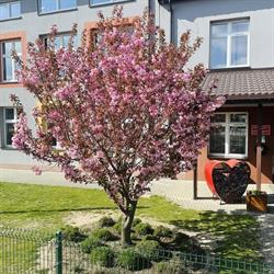 Zespół Szkoły i Przedszkola w Mokrsku