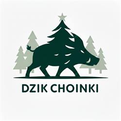 DzikChoinki