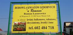 Hodowla kwiatów ozdobnych "u Romana"