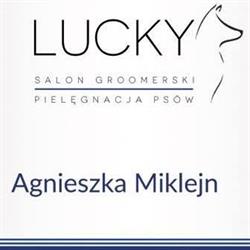 Salon groomerski "Lucky" psi fryzjer