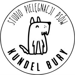 Kundel Bury Studio Pielęgnacji Psów