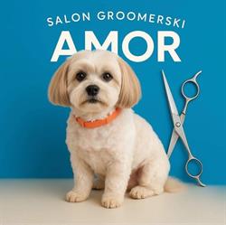 AMOR Salon psiej mody i urody czyli chwila dla pupila