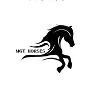 Stajnia MGT horses