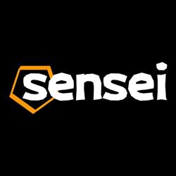 Sensei - Magnesy neodymowe i Akcesoria fitness