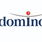 Domino Polska