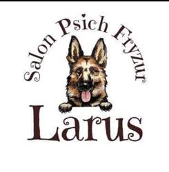 Larus salon psich fryzur