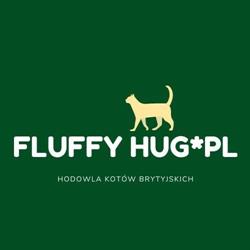 Hodowla kotów brytyjskich Fluffy Hug*PL