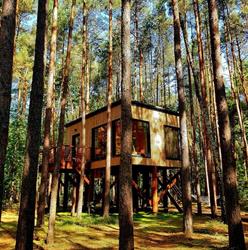 Tree Houses Olszanka - Domki na drzewie