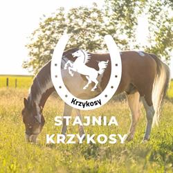 Stajnia Krzykosy