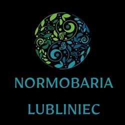 Komora Normobaryczna