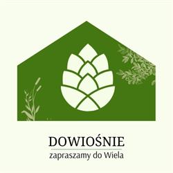 Dowiośnie - domek w Wielu