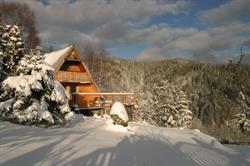 Domek nad Zalewem