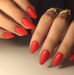 Perfect Nails Alina ABD