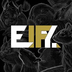 EIFY Sp. z o.o.