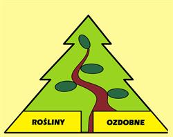 Rośliny Ozdobne Jurki