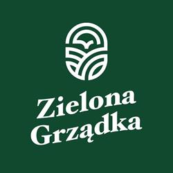 Zielona grządka