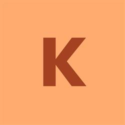 Karoinvest