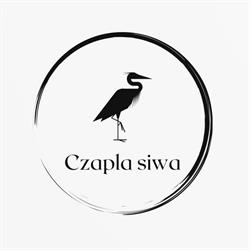 czapla siwa