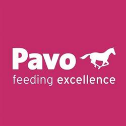 PAVO