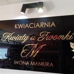 Kwiaty u Iwonki