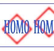 Homo-Homini Rybnik